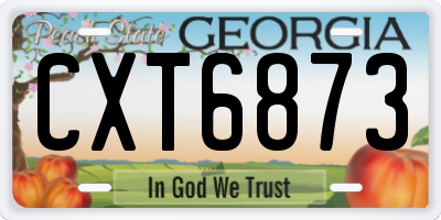 GA license plate CXT6873