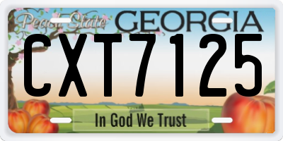 GA license plate CXT7125