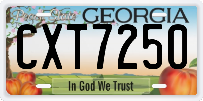 GA license plate CXT7250