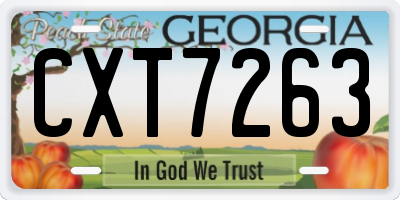 GA license plate CXT7263