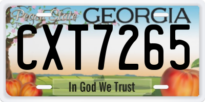 GA license plate CXT7265