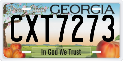 GA license plate CXT7273