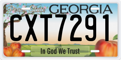GA license plate CXT7291