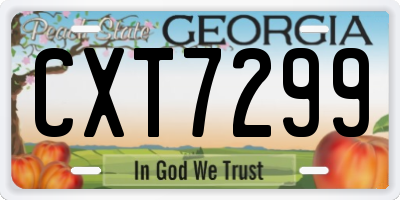GA license plate CXT7299