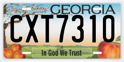 GA license plate CXT7310