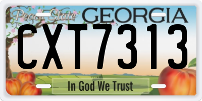 GA license plate CXT7313