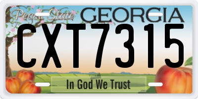 GA license plate CXT7315