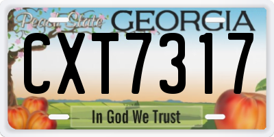 GA license plate CXT7317