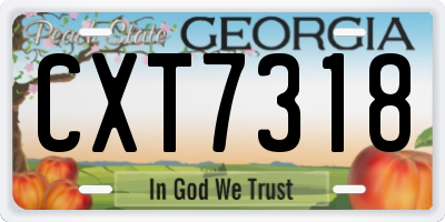 GA license plate CXT7318