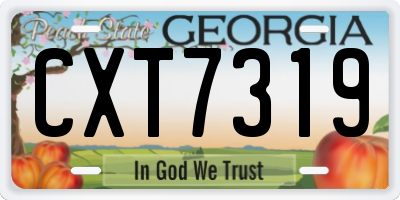GA license plate CXT7319
