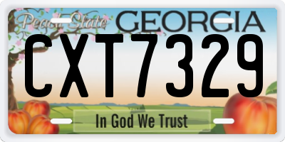 GA license plate CXT7329