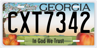 GA license plate CXT7342