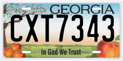 GA license plate CXT7343