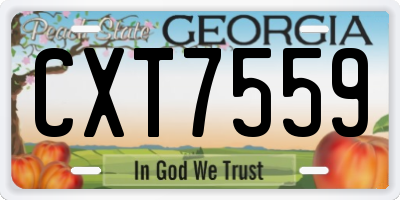 GA license plate CXT7559