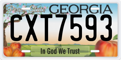 GA license plate CXT7593