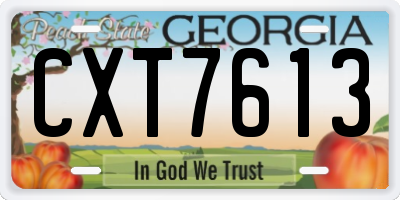 GA license plate CXT7613