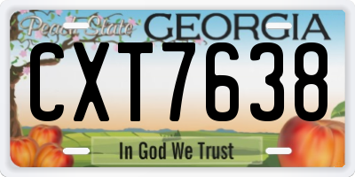 GA license plate CXT7638