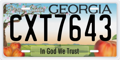 GA license plate CXT7643