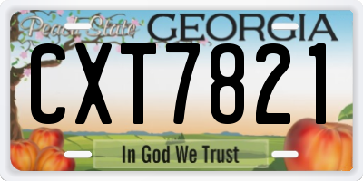GA license plate CXT7821