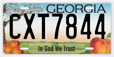 GA license plate CXT7844