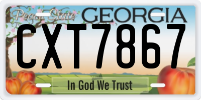 GA license plate CXT7867