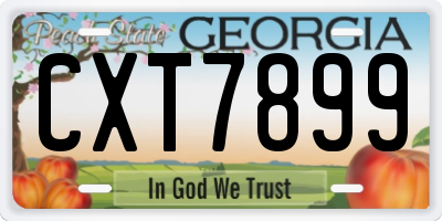 GA license plate CXT7899