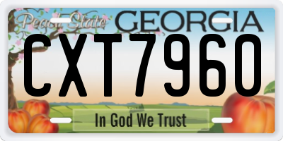 GA license plate CXT7960