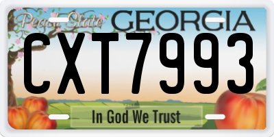 GA license plate CXT7993
