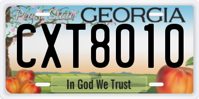 GA license plate CXT8010
