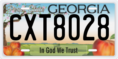 GA license plate CXT8028
