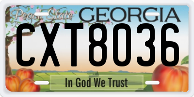 GA license plate CXT8036