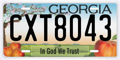 GA license plate CXT8043
