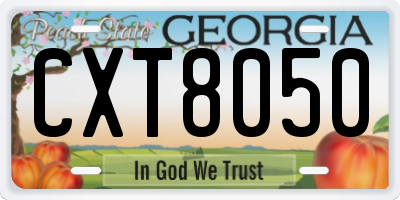 GA license plate CXT8050
