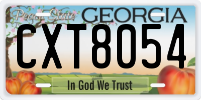 GA license plate CXT8054