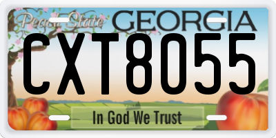 GA license plate CXT8055