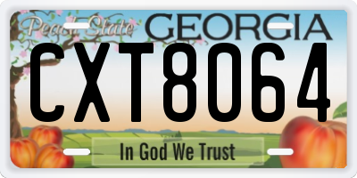 GA license plate CXT8064