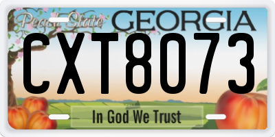 GA license plate CXT8073