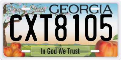 GA license plate CXT8105