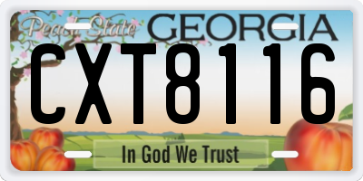 GA license plate CXT8116