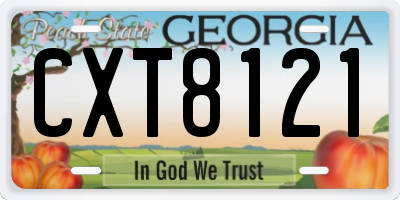 GA license plate CXT8121
