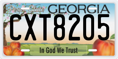 GA license plate CXT8205