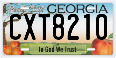 GA license plate CXT8210