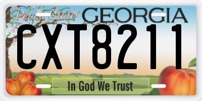 GA license plate CXT8211