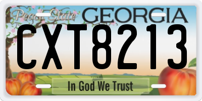 GA license plate CXT8213