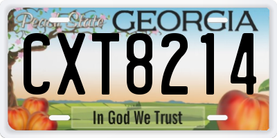 GA license plate CXT8214
