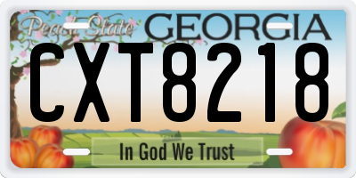 GA license plate CXT8218