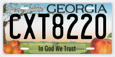 GA license plate CXT8220