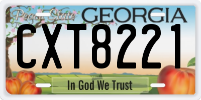 GA license plate CXT8221