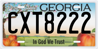 GA license plate CXT8222