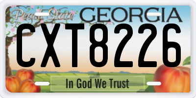 GA license plate CXT8226